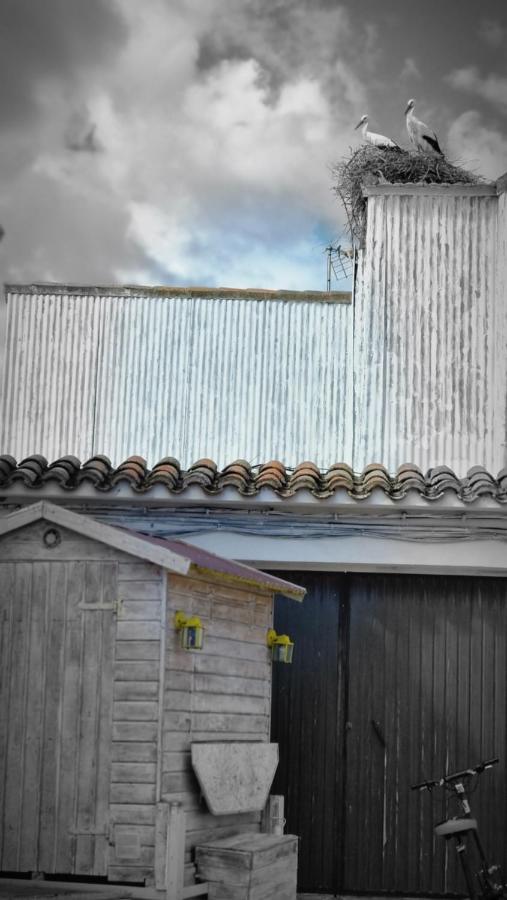 Casa Rural La Cruz El Gordo Luaran gambar